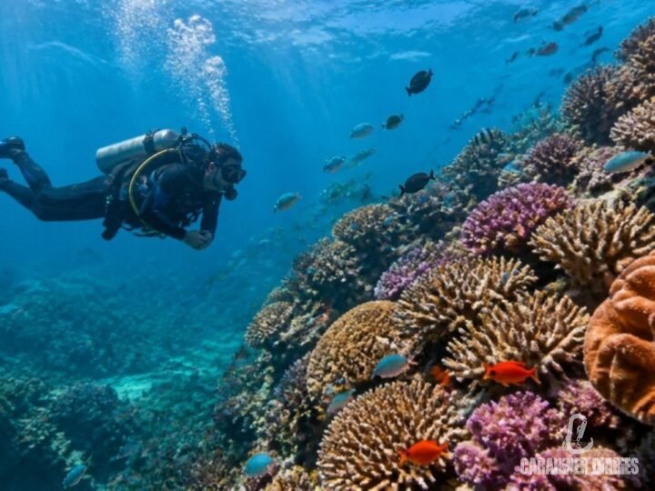 Scuba diver over a coral reef off Havelock Island, Andamans