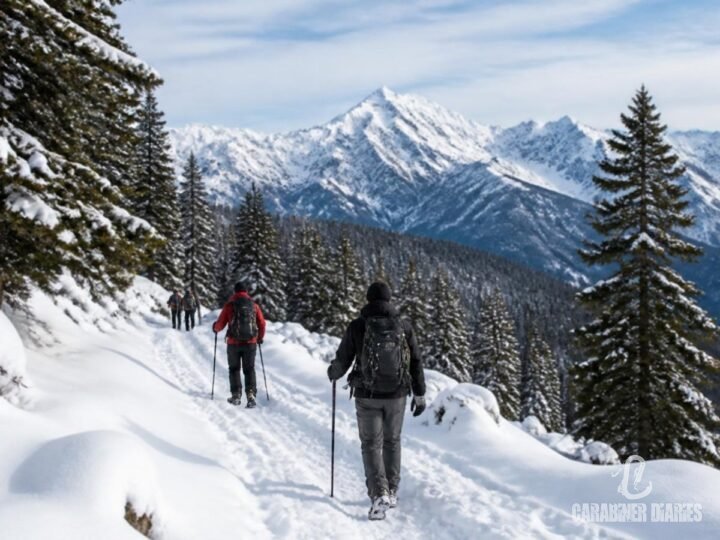 Trekkers walking through snow among pine trees on the Kedarkantha trek