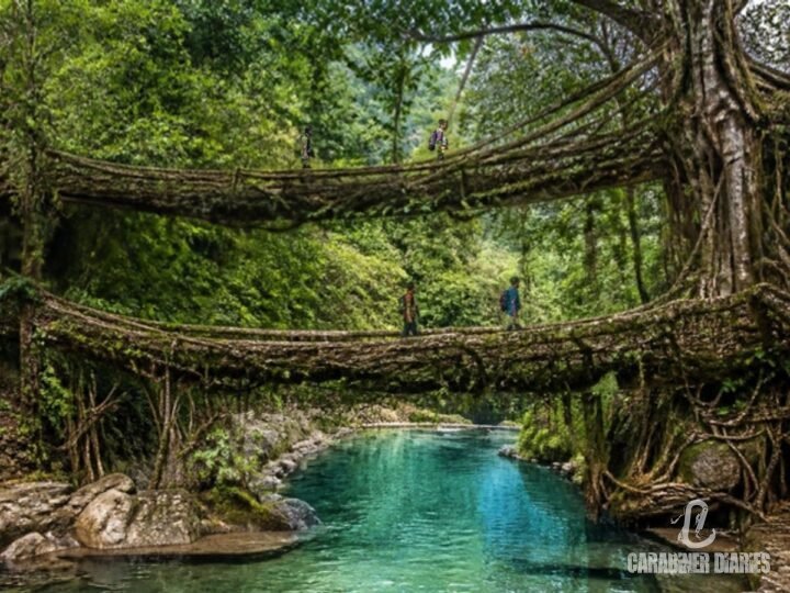 Double-decker living root bridge over a turquoise stream in Meghalaya